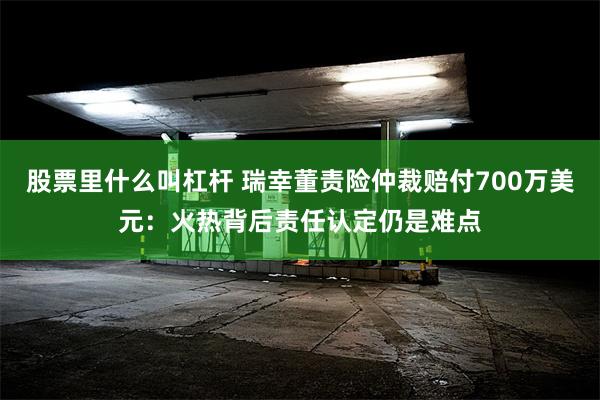 股票里什么叫杠杆 瑞幸董责险仲裁赔付700万美元：火热背后责任认定仍是难点