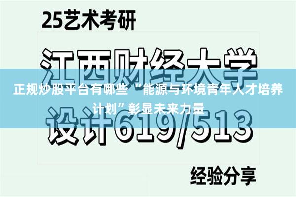 正规炒股平台有哪些 “能源与环境青年人才培养计划”彰显未来力量