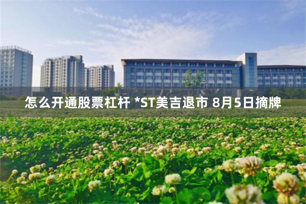 怎么开通股票杠杆 *ST美吉退市 8月5日摘牌