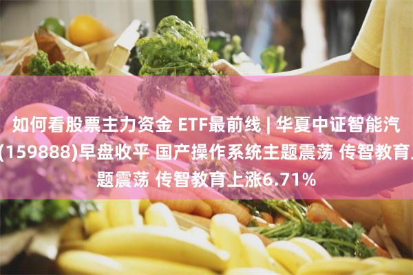 如何看股票主力资金 ETF最前线 | 华夏中证智能汽车主题ETF(159888)早盘收平 国产操作系统主题震荡 传智教育上涨6.71%