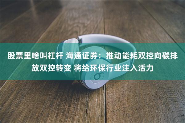 股票里啥叫杠杆 海通证券：推动能耗双控向碳排放双控转变 将给环保行业注入活力