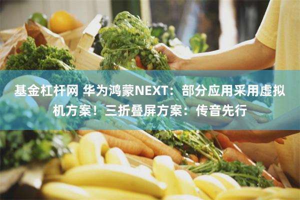 基金杠杆网 华为鸿蒙NEXT：部分应用采用虚拟机方案！三折叠屏方案：传音先行