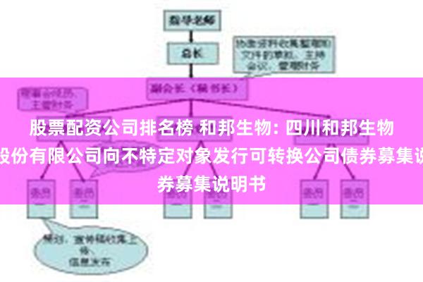 股票配资公司排名榜 和邦生物: 四川和邦生物科技股份有限公司向不特定对象发行可转换公司债券募集说明书