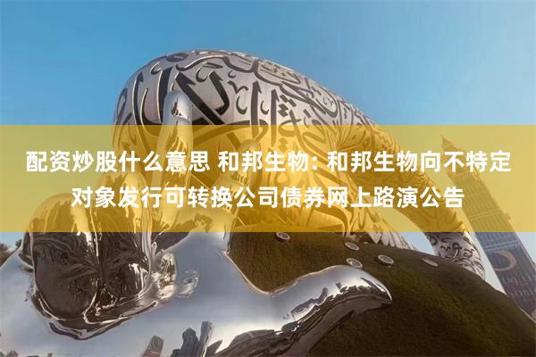 配资炒股什么意思 和邦生物: 和邦生物向不特定对象发行可转换公司债券网上路演公告