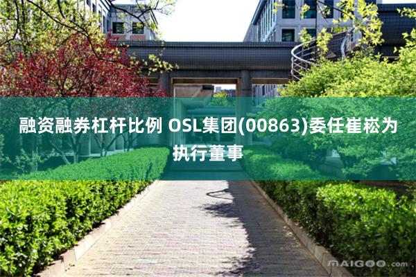 融资融券杠杆比例 OSL集团(00863)委任崔崧为执行董事