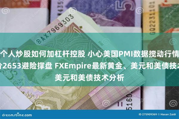 个人炒股如何加杠杆控股 小心美国PMI数据搅动行情！金价2653避险撑盘 FXEmpire最新黄金、美元和美债技术分析