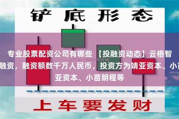 专业股票配资公司有哪些 【投融资动态】云梧智能天使+融资，融资额数千万人民币，投资方为靖亚资本、小苗朗程等