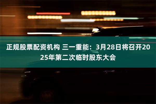 正规股票配资机构 三一重能：3月28日将召开2025年第二次临时股东大会